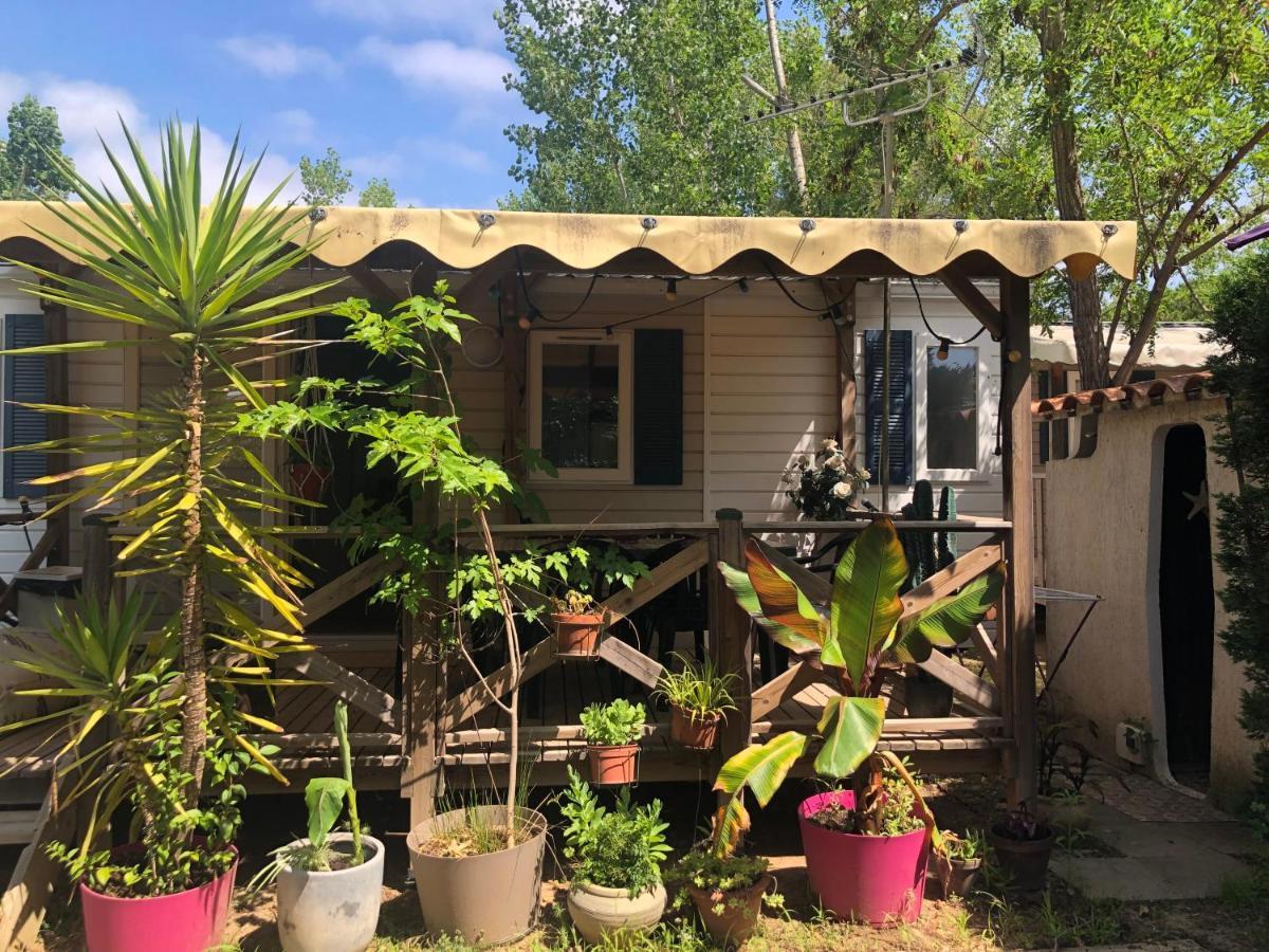 Mobil Home Climatise Camping 4* Le Grau Du Roi Les Jardins De Tivoli エクステリア 写真