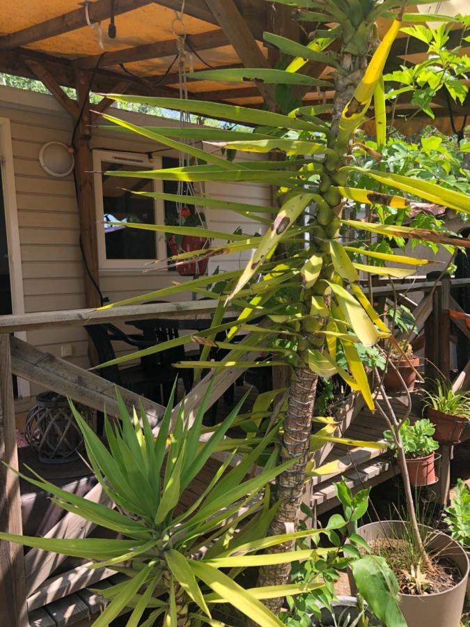 Mobil Home Climatise Camping 4* Le Grau Du Roi Les Jardins De Tivoli エクステリア 写真
